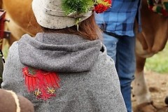 DSC00415_preview