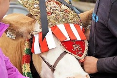 DSC00421_preview