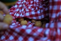 DSC00490_preview