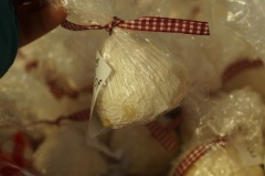 DSC00715_preview