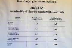 Ziggolan-Auszeichnung